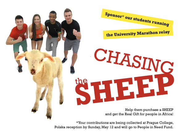 Students chase sheep for good cause