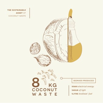 8 kg coconut waste