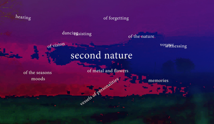Second Nature exhibition