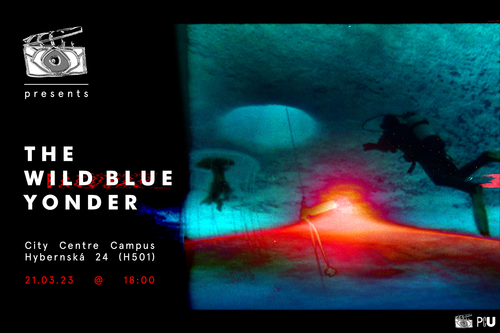 The Wild Blue Yonder Whats On