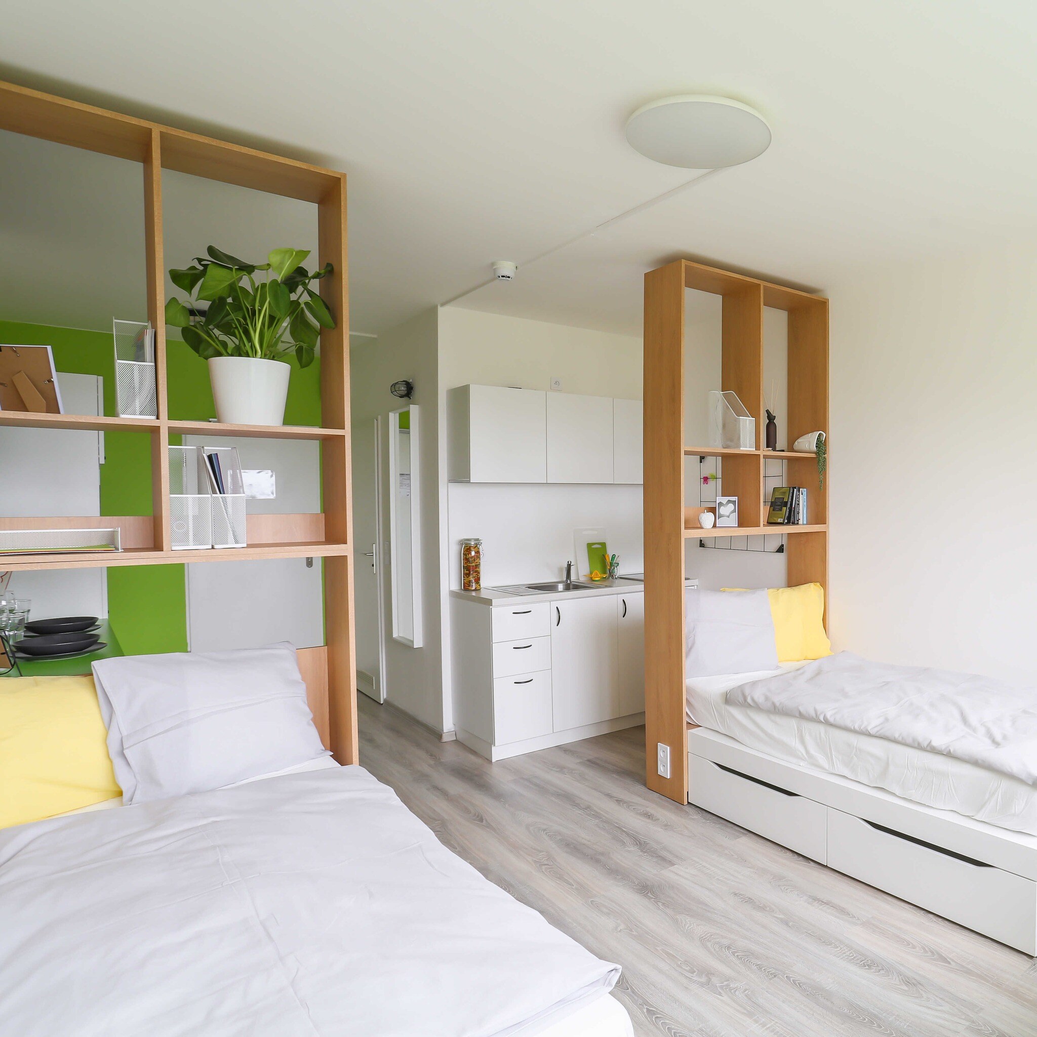 Bro-coli_accomodation1