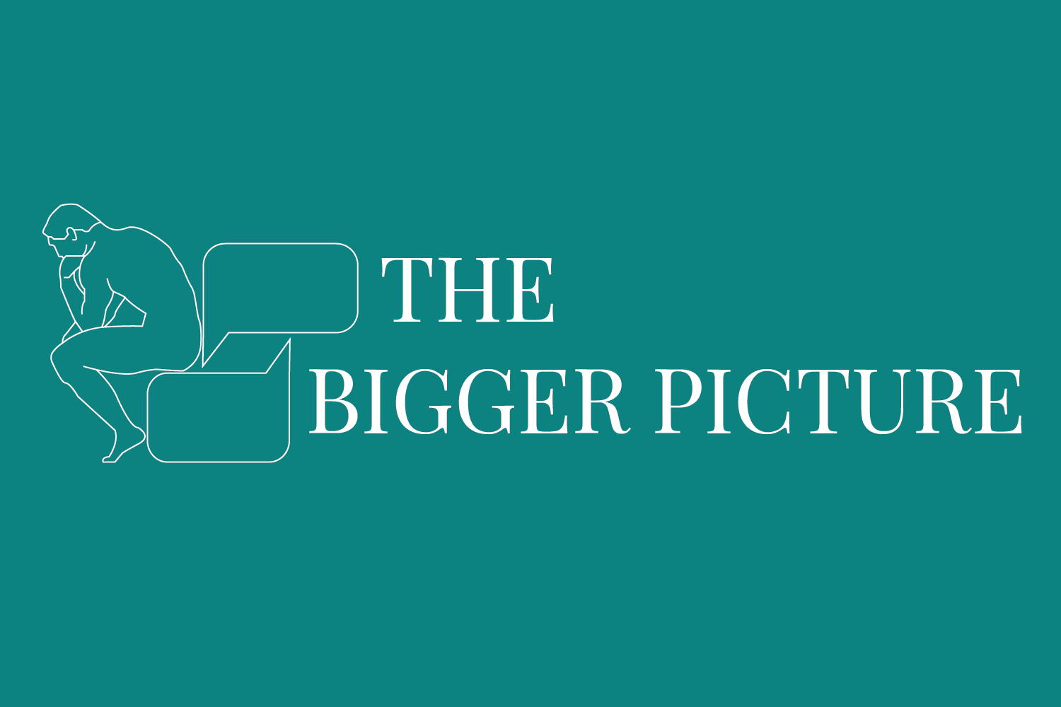 The Bigger Picture - logo 