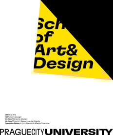 pcu-soad-brochure-cover