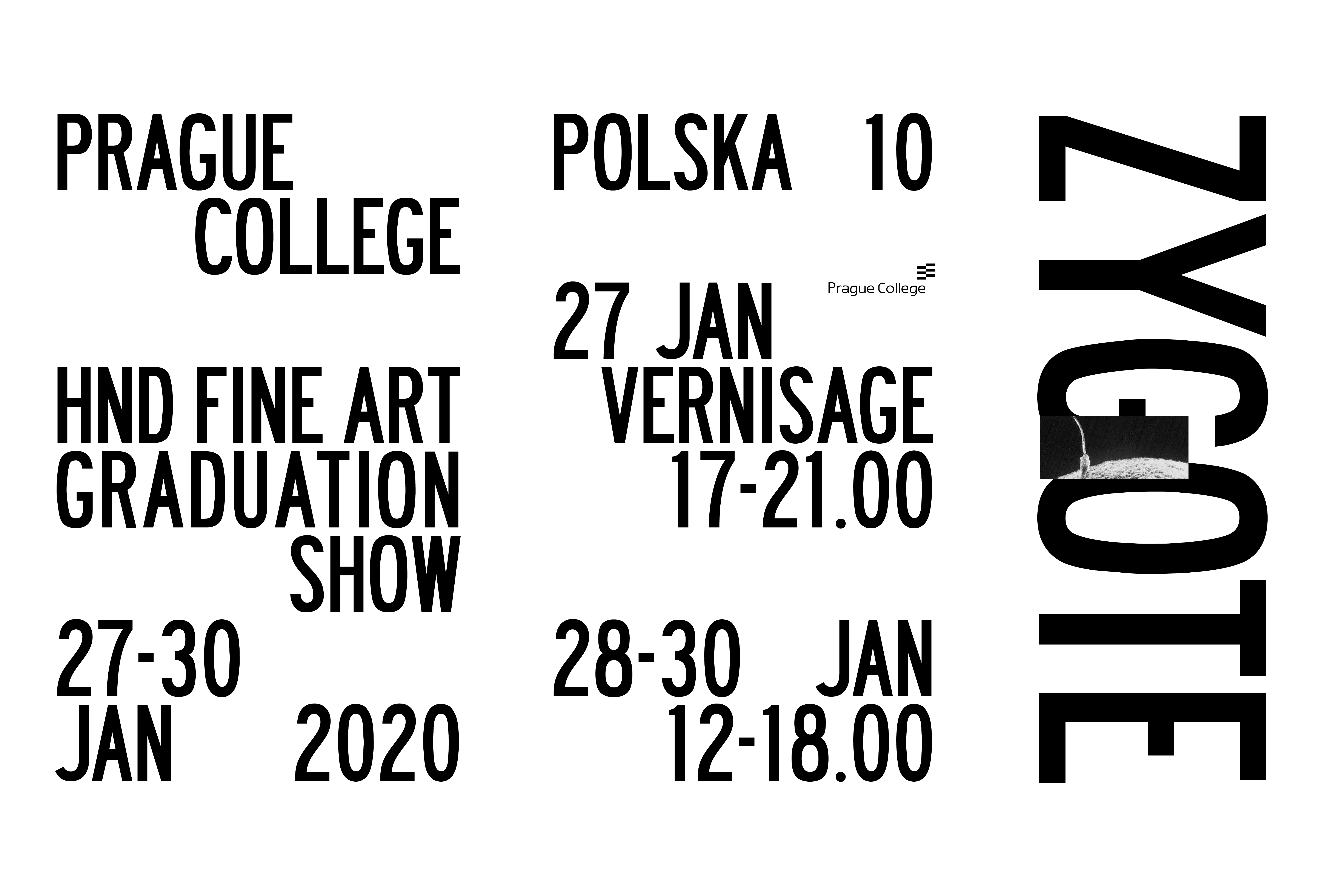 ZYGOTE - HND Fine Art Exhibition 2020