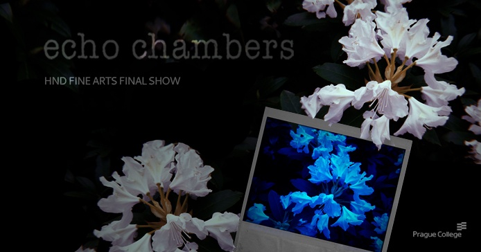 HND Fine Art exhibition: 'echo chambers'